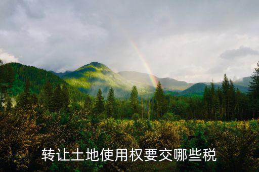 轉(zhuǎn)讓土地使用權(quán)要交什么稅，轉(zhuǎn)讓土地使用權(quán)要交哪些稅