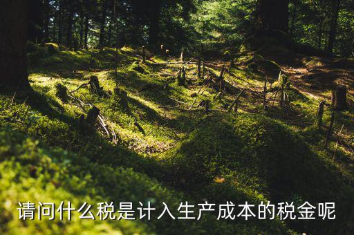 什么稅計入成本，請問什么稅是計入生產(chǎn)成本的稅金呢