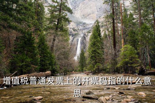 增值票的開票碼是什么意思，增值稅普通發(fā)票上的開票碼指的什么意思