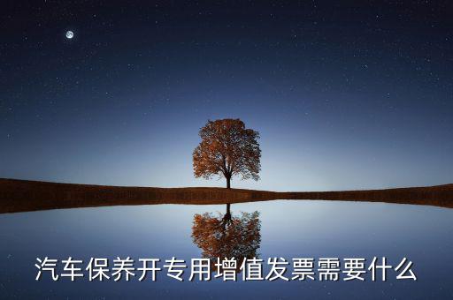 保險開專票需要什么，開增值票項目只開總一項行嗎保險公司要求開專票說要么按實際