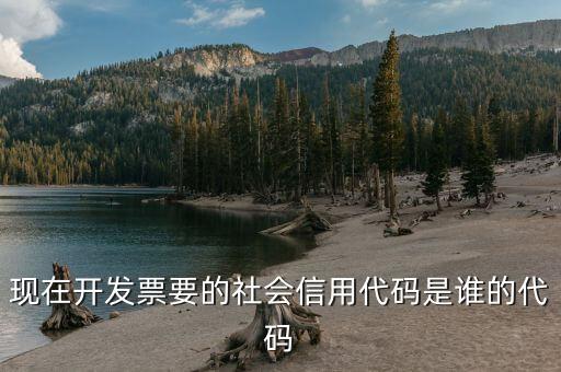 發(fā)票上有社會(huì)信用代碼是什么，現(xiàn)在開發(fā)票要的社會(huì)信用代碼是誰的代碼