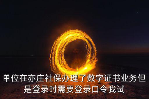 數(shù)字證書(shū)口令是什么，數(shù)字證書(shū)與口令卡是一回事嗎