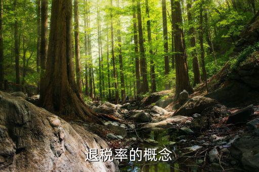 出口退稅率是什么意思，出口退稅率是什么意思啊什么樣的人要交呢