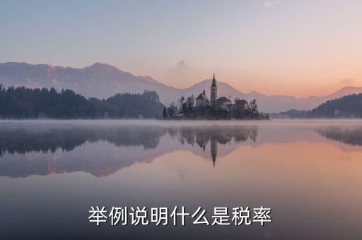 稅率說(shuō)明是什么意思，稅率是什么意思