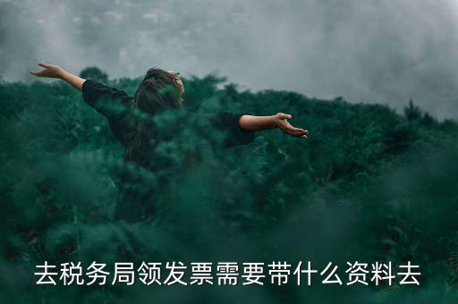 領(lǐng)電子發(fā)票需要帶什么資料，去稅務(wù)局領(lǐng)發(fā)票需要帶什么資料去