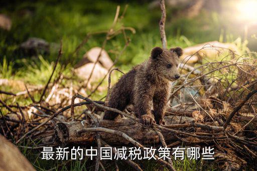 各國減稅結果會是什么，最新的中國減稅政策有哪些