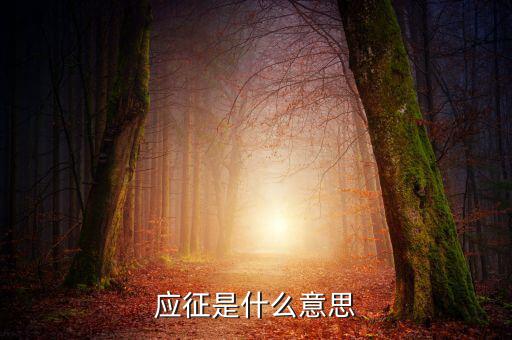 應(yīng)征發(fā)生日期什么意思，應(yīng)征的意思