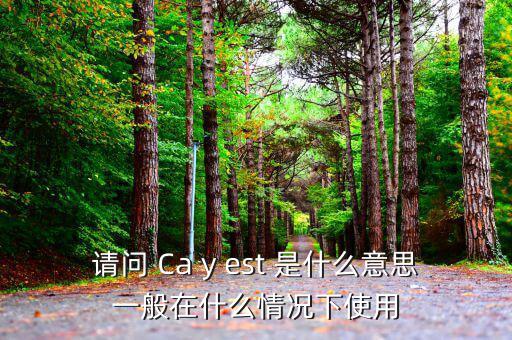 ca棒有什么作用是什么意思，CA的全稱是什么它的具體作用是什么
