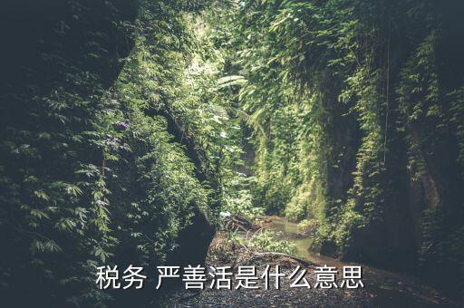 中國稅務(wù)精神是什么意思，稅務(wù)是什么意思啊學(xué)什么內(nèi)容