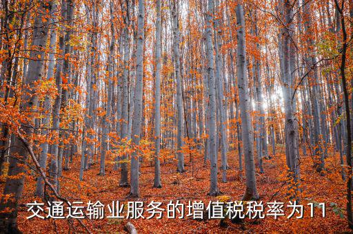 11稅率的服務(wù)包括什么，營(yíng)改增后11個(gè)點(diǎn)稅包括哪些內(nèi)容