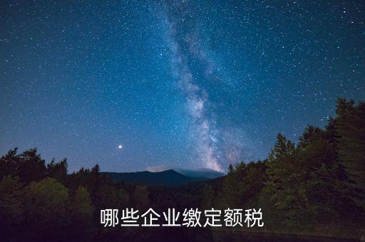 什么公司定額征稅，哪些企業(yè)繳定額稅