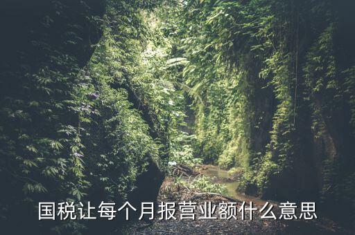 國稅每月報(bào)稅的是什么意思，請問每月抄稅和報(bào)稅各是什么意思