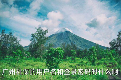 地稅社保用戶名是什么，南京這邊可以國稅扣稅款一個(gè)賬號(hào)基本戶地稅扣款比如社保