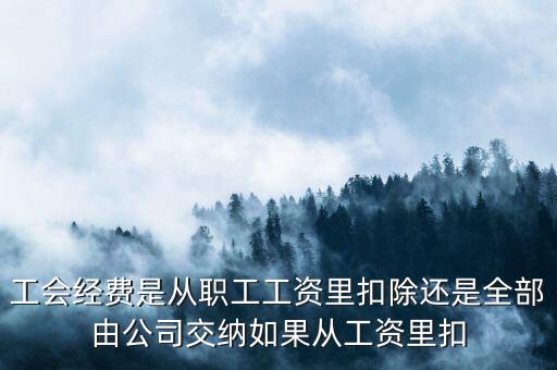 工會(huì)經(jīng)費(fèi)根據(jù)什么扣除，職工工會(huì)經(jīng)費(fèi)準(zhǔn)予扣除標(biāo)準(zhǔn)為多少