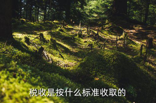 稅收是按什么標(biāo)準收取的