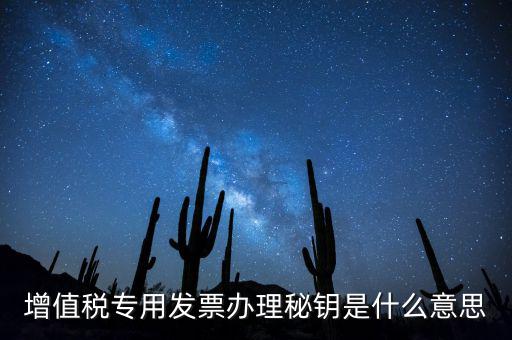 稅務(wù)密鑰是什么意思，增值稅專(zhuān)用發(fā)票辦理秘鑰是什么意思