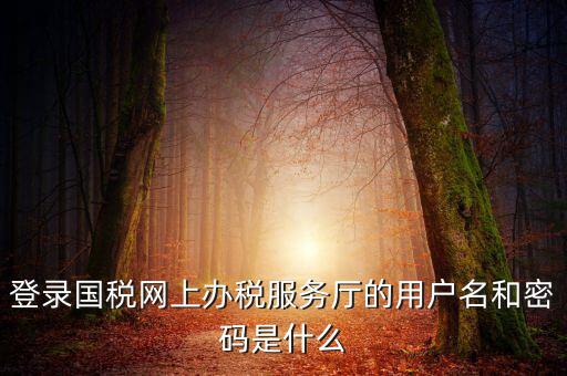 稅務登陸密碼是什么意思，國稅第一次網(wǎng)上申報的登陸密碼是什么
