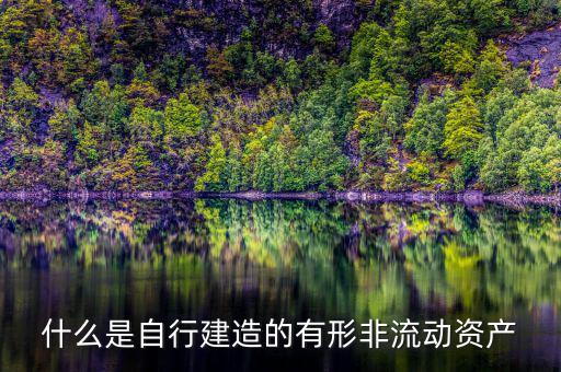 什么叫自建不動產(chǎn)，自建不動產(chǎn)不共擔(dān)風(fēng)險的投資行為