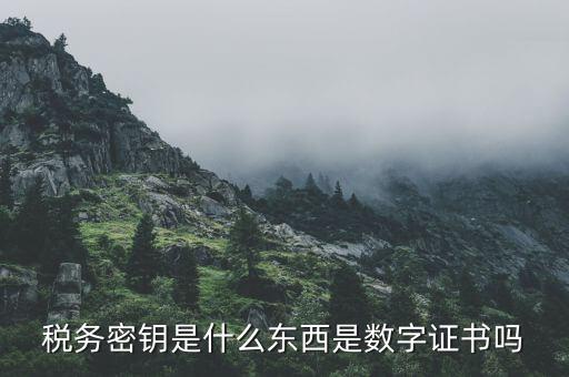 稅務(wù)密鑰是什么東西是數(shù)字證書(shū)嗎