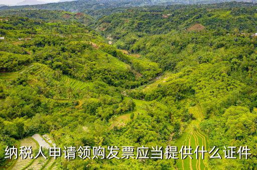 納稅人申請領購發(fā)票應當提供什么證件