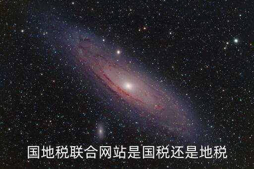 國地稅聯(lián)合辦稅是什么，國地稅聯(lián)合稅費(fèi)申報(bào)什么意思