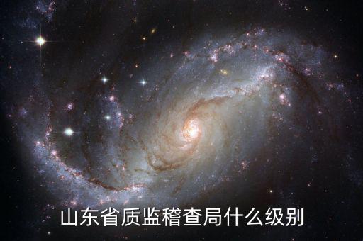 稽查局什么級別，山東省質監(jiān)稽查局什么級別