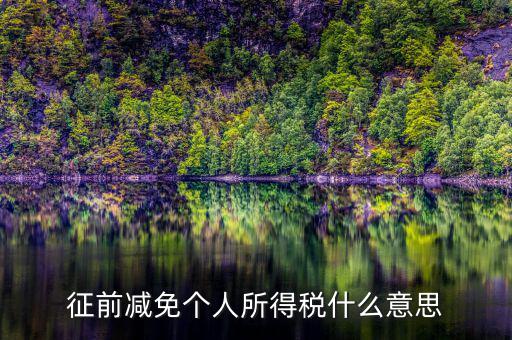 減免所得稅是什么意思，征前減免個人所得稅什么意思