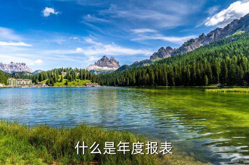 報稅的年度報表是什么意思，什么是年度報表