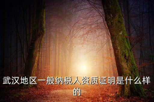 納稅資質(zhì)證明是什么意思，什么是稅務證明