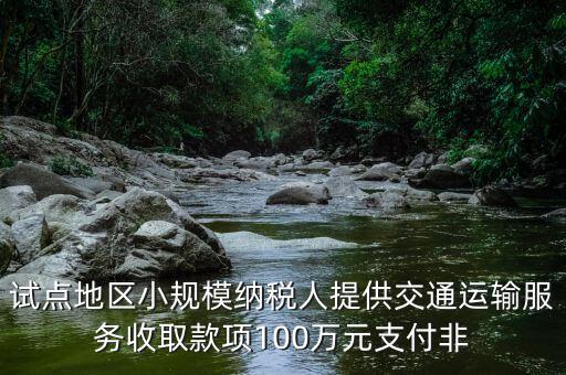 什么向試點地區(qū)納稅人支付費用，4試點地區(qū)內(nèi)一般納稅人向試點地區(qū)內(nèi)一般納稅人支付費用取得增值