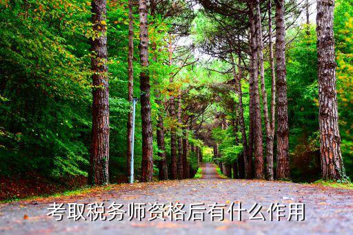 稅務(wù)師職業(yè)資格證又什么用，現(xiàn)在考稅務(wù)師有什么用
