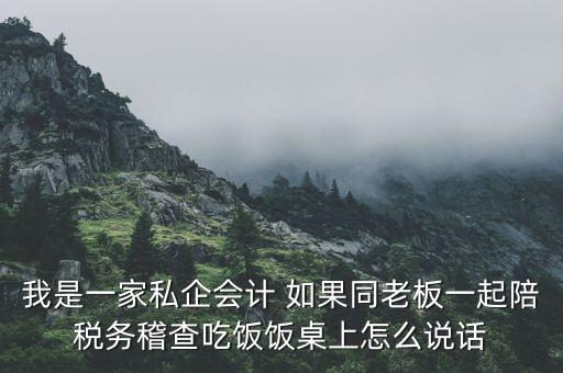 我是一家私企會(huì)計(jì) 如果同老板一起陪稅務(wù)稽查吃飯飯桌上怎么說(shuō)話(huà)