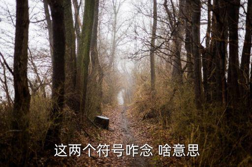 項(xiàng)稅讀音是什么意思，怎么讀是什么意思
