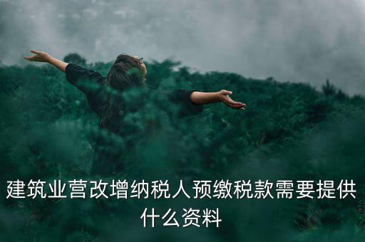 預(yù)繳稅款要什么資料，到國(guó)稅局預(yù)交稅款需要帶什么東西