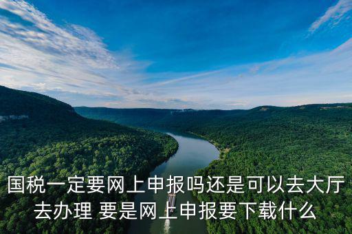 地稅進(jìn)國(guó)稅要下載什么，深圳國(guó)地稅想網(wǎng)上申報(bào)要下載什么東西嗎