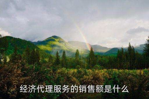 什么是經(jīng)濟(jì)代理，請(qǐng)問(wèn)什么叫經(jīng)濟(jì)合同代理人