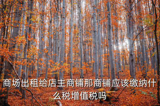 租用商鋪需要交什么稅，我租個(gè)門市都需交什么稅