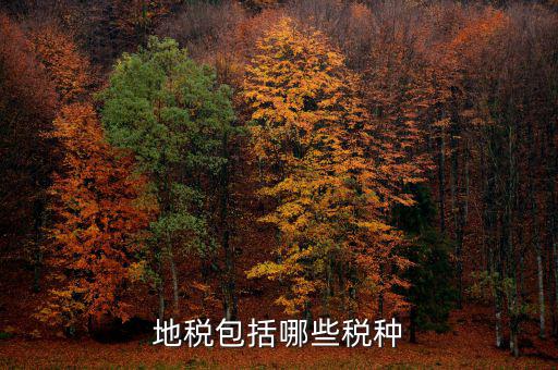 地稅足什么，地稅包括哪些稅種