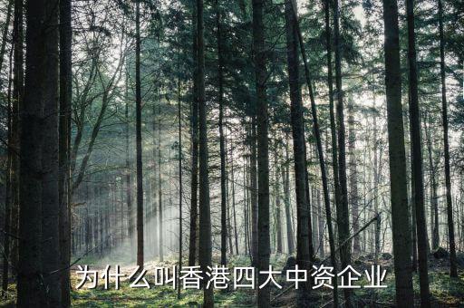 什么叫中資控股企業(yè)，為什么叫香港四大中資企業(yè)