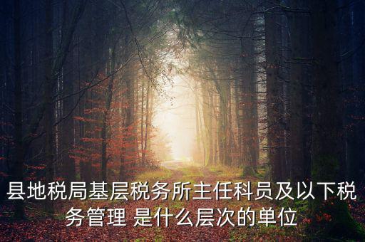 地稅局主任干什么，在地稅局工作寫材料具體是怎么工作