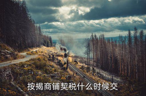 商鋪?zhàn)赓U稅什么時(shí)候交，租賃店鋪一般首次需要繳納幾個(gè)月的租金