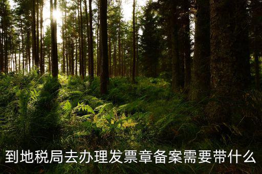 去地稅局備案需要什么，地稅備案需要什么資料