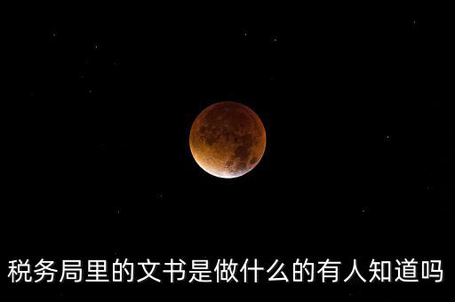 稅務(wù)文書是什么，急需稅務(wù)文書格式