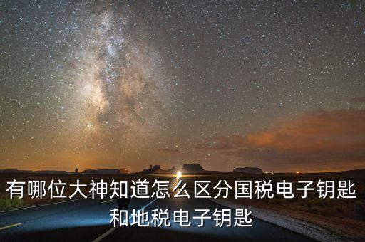 國(guó)稅電子鑰匙是什么，稅務(wù)密鑰是什么東西是數(shù)字證書(shū)嗎