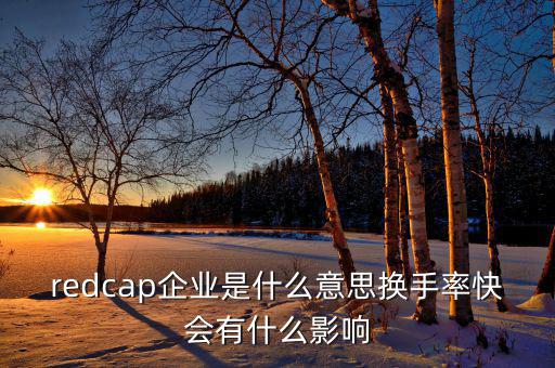大企業(yè)局是什么意思，廣東省地稅網(wǎng)上的財(cái)務(wù)報(bào)表中的大企業(yè)局?jǐn)?shù)據(jù)報(bào)送是指什么