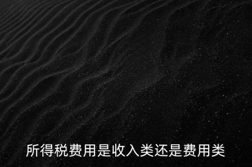 所得稅屬于什么費(fèi)用，所得稅費(fèi)用是收入類還是費(fèi)用類