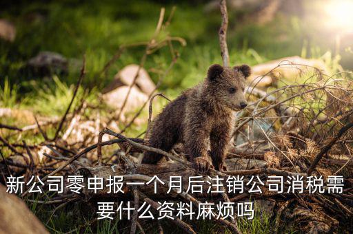 注銷稅盤需要什么資料，新公司零申報一個月后注銷公司消稅需要什么資料麻煩嗎