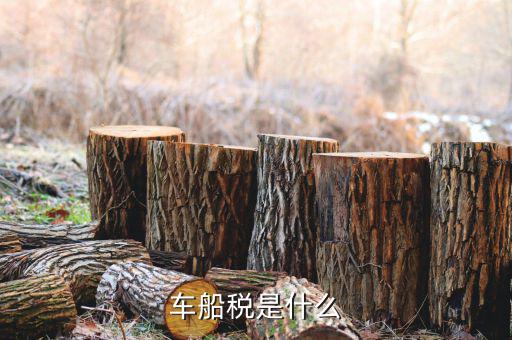 保險的車船稅是什么意思，車船稅是什么