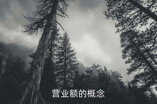 營業(yè)額指的是什么，招標文件中的營業(yè)額指的是利潤表中的主營業(yè)務收入嗎