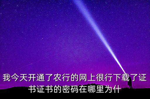 查看證書(shū)密碼是什么原因，我今天開(kāi)通了農(nóng)行的網(wǎng)上很行下載了證書(shū)證書(shū)的密碼在哪里為什